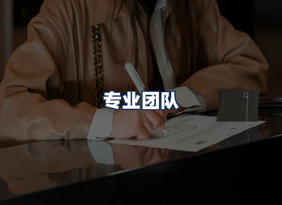 专业团队